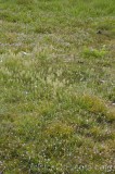 CFGhi27.jpg 96562