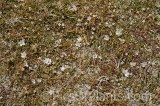 CFGhr93.jpg 99551