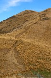 CFGk167.jpg 98483